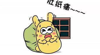 吃瓜群众的代表,吃瓜群众视角下的娱乐圈风云录