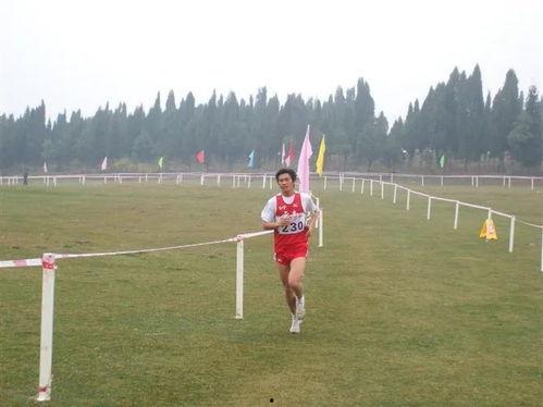 星全运会吃瓜教学,吃瓜群众变身教育新势力