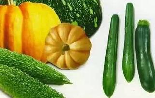 吃瓜小木,揭秘娱乐圈那些不为人知的幕后故事