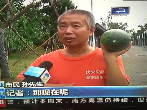 长阳吃瓜群众事件,一场网络舆论的风暴与反思