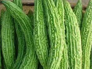 瓜怎么吃最舒服,揭秘最舒适的瓜类食用方法