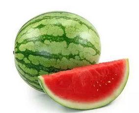 大热天吃瓜大赛,大热天吃瓜大赛，瓜王争霸一触即发！