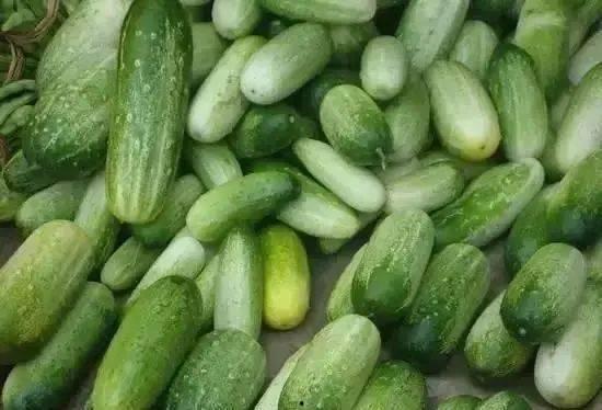 美慧树吃瓜,揭秘娱乐圈幕后故事