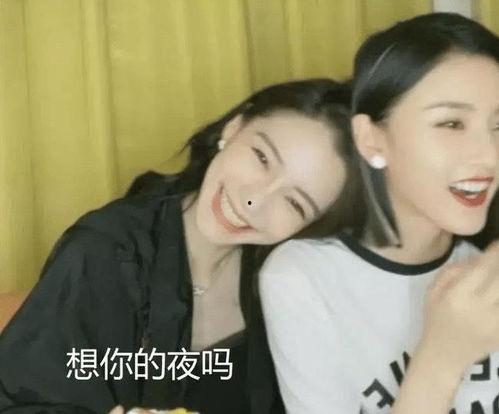 吃瓜直播嘉宾,揭秘吃瓜嘉宾背后的故事