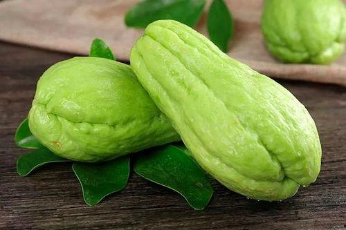 瓠子瓜肾衰可以吃