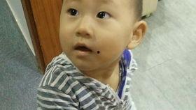 小林上朝吃瓜,意外吃瓜引发宫廷风波