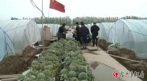 宿迁供电公司吃瓜